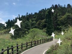 -武陵山森林公园