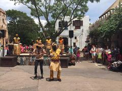 -奥兰多迪士尼动物王国乐园