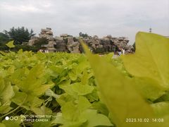 -石家庄市植物园