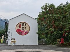 -衢州大荫山丛林飞越探险乐园