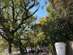 -江心屿景区