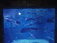 -多彩贵州城极地海洋世界