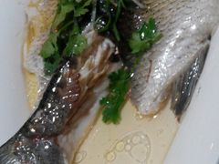 蒸鯇魚-广东道至正餐厅(区庄店)