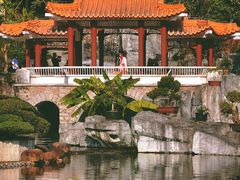 -深圳仙湖植物园