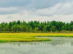 -塞罕坝国家级自然保护区