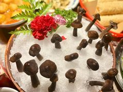 -禄婶鸡煲·打边炉