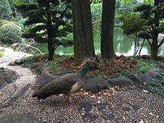 -华雅花园大酒店