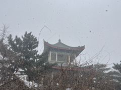 -南山公园