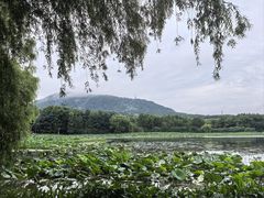 -大蜀山国家森林公园