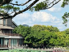 -江心屿景区