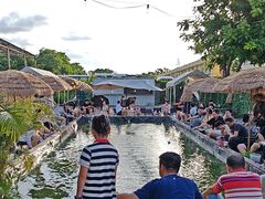 -DGE季风钓虾营地·团建·聚会