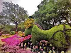 -杭州植物园