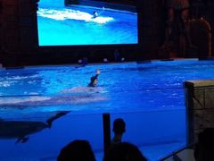 -波塞冬旅游度假区