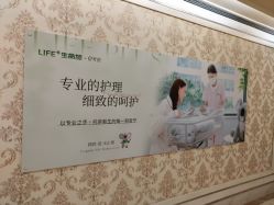 -生命加•Q考拉月子会所(玫瑰园店)