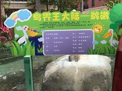 -灵玲国际马戏城