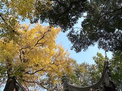 -秋霞圃