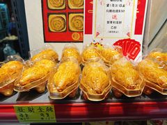 发财金猪-马鸿记饼家