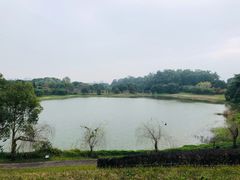 -福建鲤鱼洲酒店
