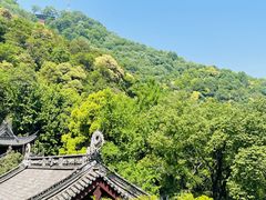 -韬光茶庵