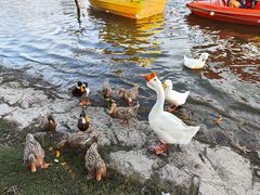 -黄兴公园