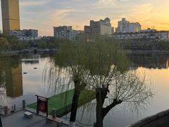 -文瀛公园