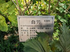 -广州神农草堂中医药博物馆