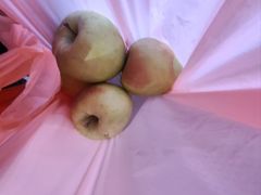 -油麻地果栏