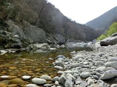 -黑河国家森林公园