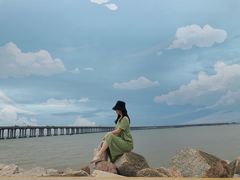 -宝安西湾红树林湿地公园