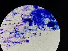 -太原东方动物医院(小店分院)