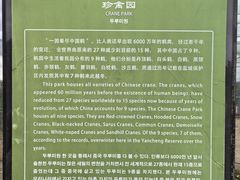 -盐城丹顶鹤湿地生态旅游区