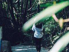 -燕晗山郊野公园
