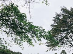 -保利石象湖景区