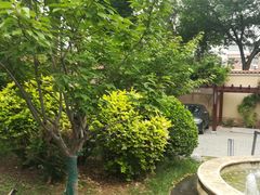 -静园(和平区)