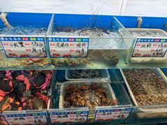 -华盛丰温州大排档(东三环南路店)