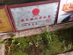 -颜氏双江清水鱼一养身火锅(磁器口店)