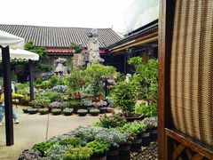 -山菌美食苑(振兴路店)