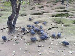 -森林公园(尖草坪区)