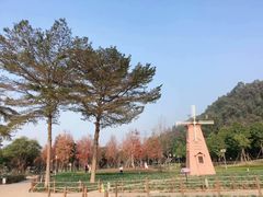 -顺峰山公园