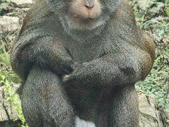 -黔灵山公园