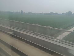 -比干庙景区