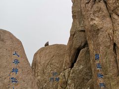 -崂山巨峰游览区