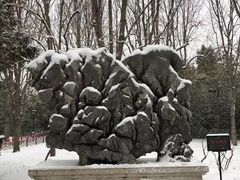 -月坛公园
