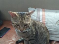 -JUKEBOX玖部音乐餐厅(华侨城店)