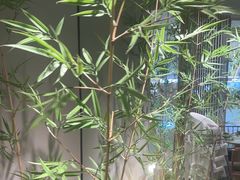 -绿茶餐厅(淮安吾悦广场店)