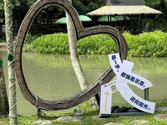-呀诺达热带雨林