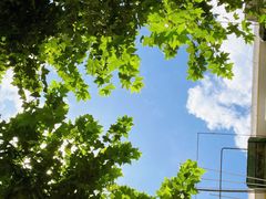 -漕河泾街道图书馆(漕河泾社区文化活动中心店)