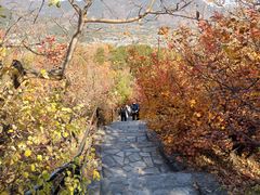 -香山公园