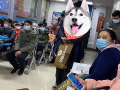 -上海市眼病防治中心(康定路院区)