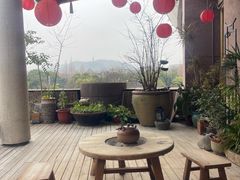 -青藤茶馆(凤起路店)